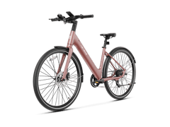 Heybike EC 1-ST Pedelec Electric Bike - Pogo Cycles