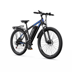 DUOTTS C29-L Electric Bike
