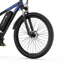 DUOTTS C29-L Electric Bike