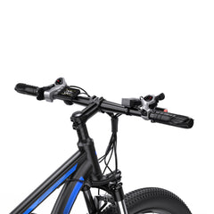 DUOTTS C29-L Electric Bike