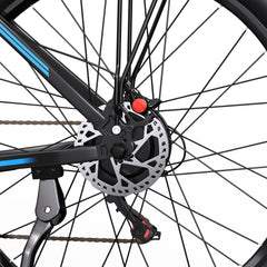 DUOTTS C29-L Electric Bike