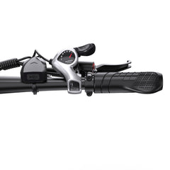 DUOTTS C29-L Electric Bike