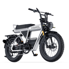 Coswheel CT20 2.0 Cargo Electric Bike