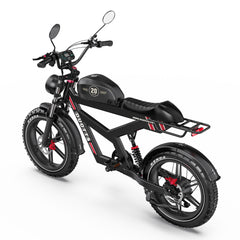 Display view of DUOTTS F20 Upgraded Electric Bike in black with visible branding on a white background