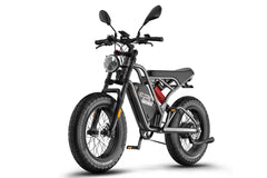 Fafrees F20 Ultra HS Electric Bike