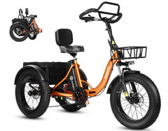 Eskute T302 Pro Cargo Electric Trike