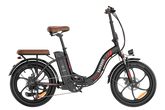 FAFREES F20 Pro City Electric Bike