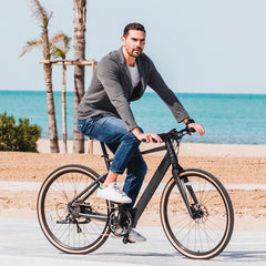 Fiido E-Gravel C21 Electric Bike