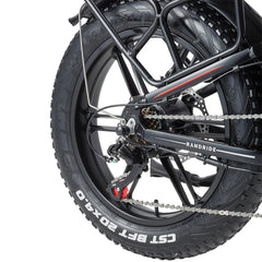 RANDRIDE YX20M-2 Dual Motor Electric Bike