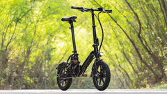 Fiido D3 Pro electric bike in black, side view, outdoors with mudguard and front light
