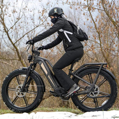 Fiido Titan Robust Cargo Electric Bike - Pogo Cycles