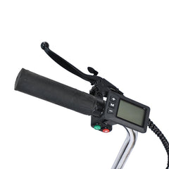 Gogobest Electric City Tricycle Cargo E-bike - Pogo Cycles