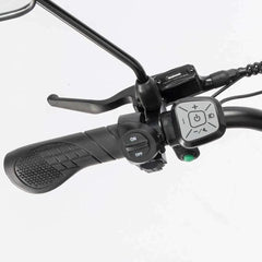 YVY C20 Max Electric Bike