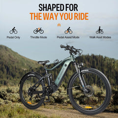 ACCOLMILE Cola Bear Electric Bike - Pogo Cycles