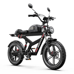 DUOTTS F20 Upgraded Electric Bike in black with visible branding on a white background