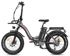 Fafrees F20 X-Max bicycle