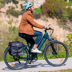 Fiido C11 Pro City Electric Bike