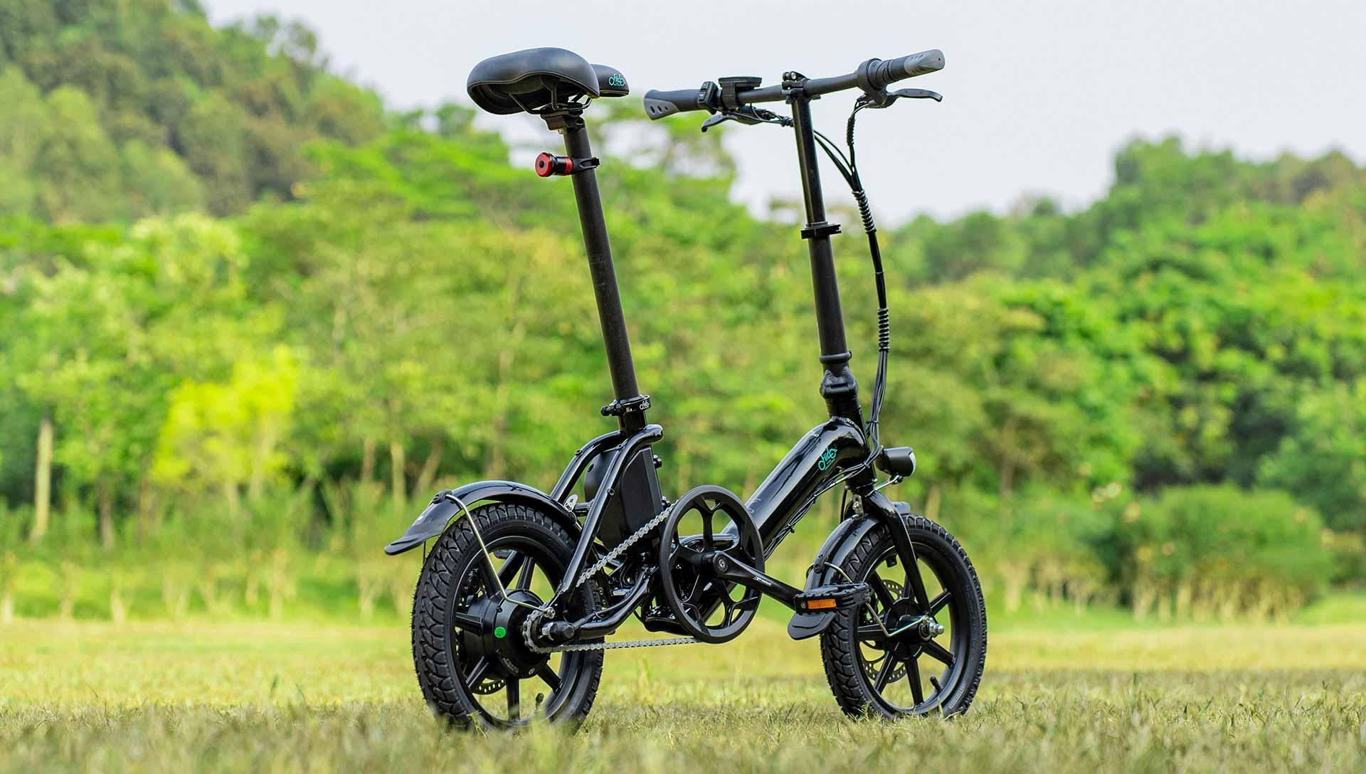 Fiido D3 Pro electric bike black side view outdoors with mudguard and light